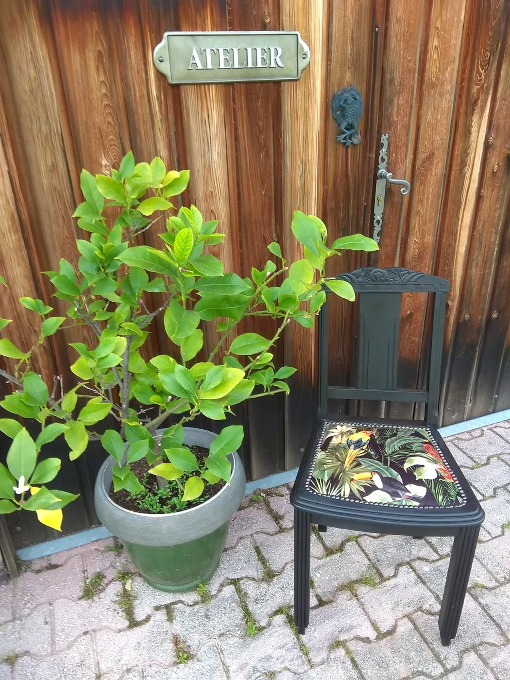 Une chaise noire à l'assise imprimée de perroquets, posée devant la porte en bois de l'atelier